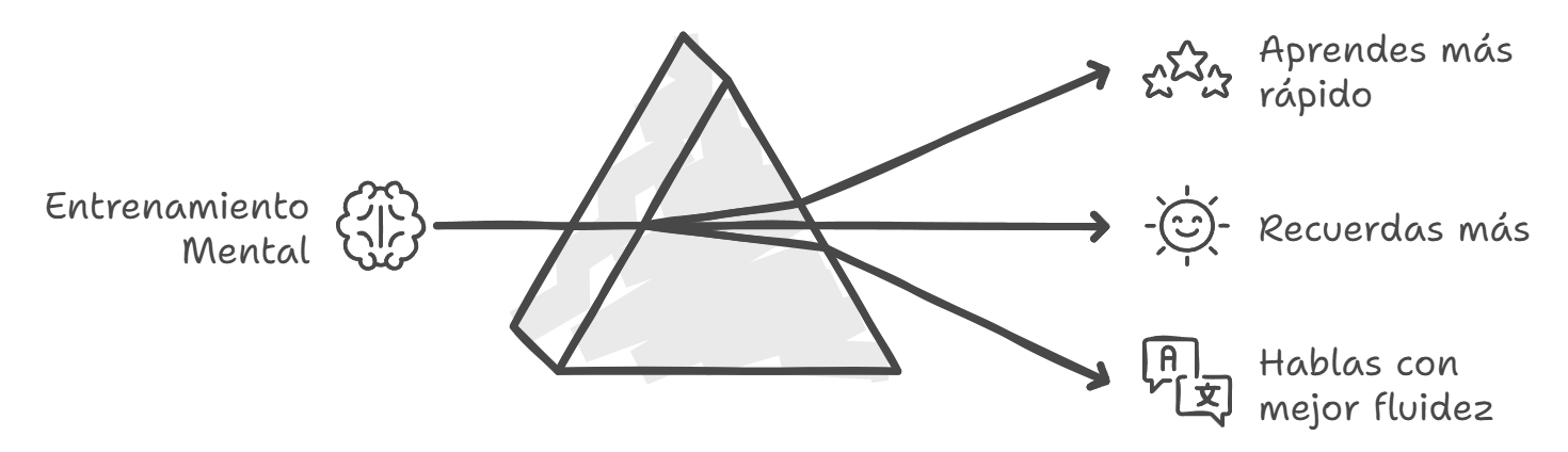 napkin-selection